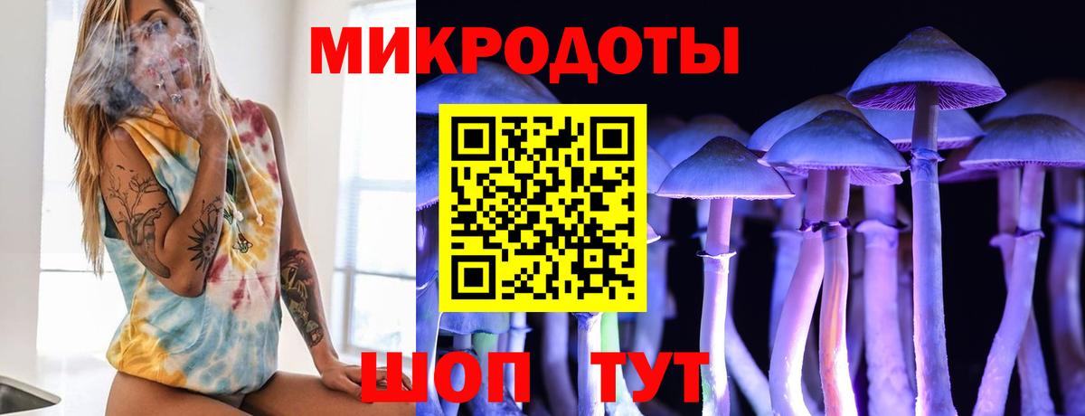 Псилоцибиновые грибы мухоморы Саратов