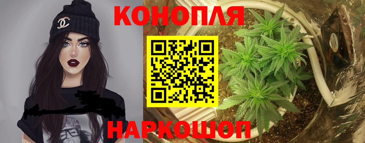 Бошки марихуана THC 21%  Шишки марихуана SATIVA & INDICA  Канабис VHQ  Вход с VPN  Саратов 